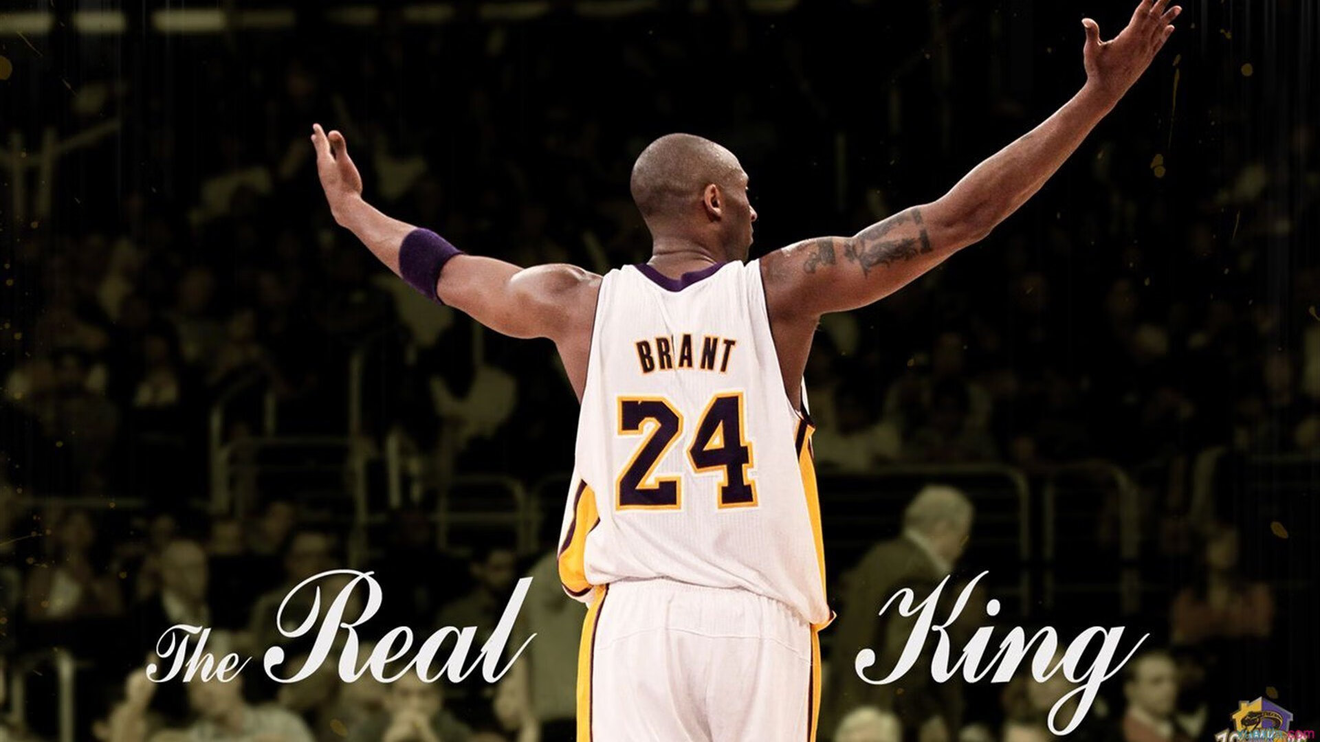 开云下载-奇才强势晋级爵士，小贾伦带队取胜，当孤星照亮盐湖城的夜